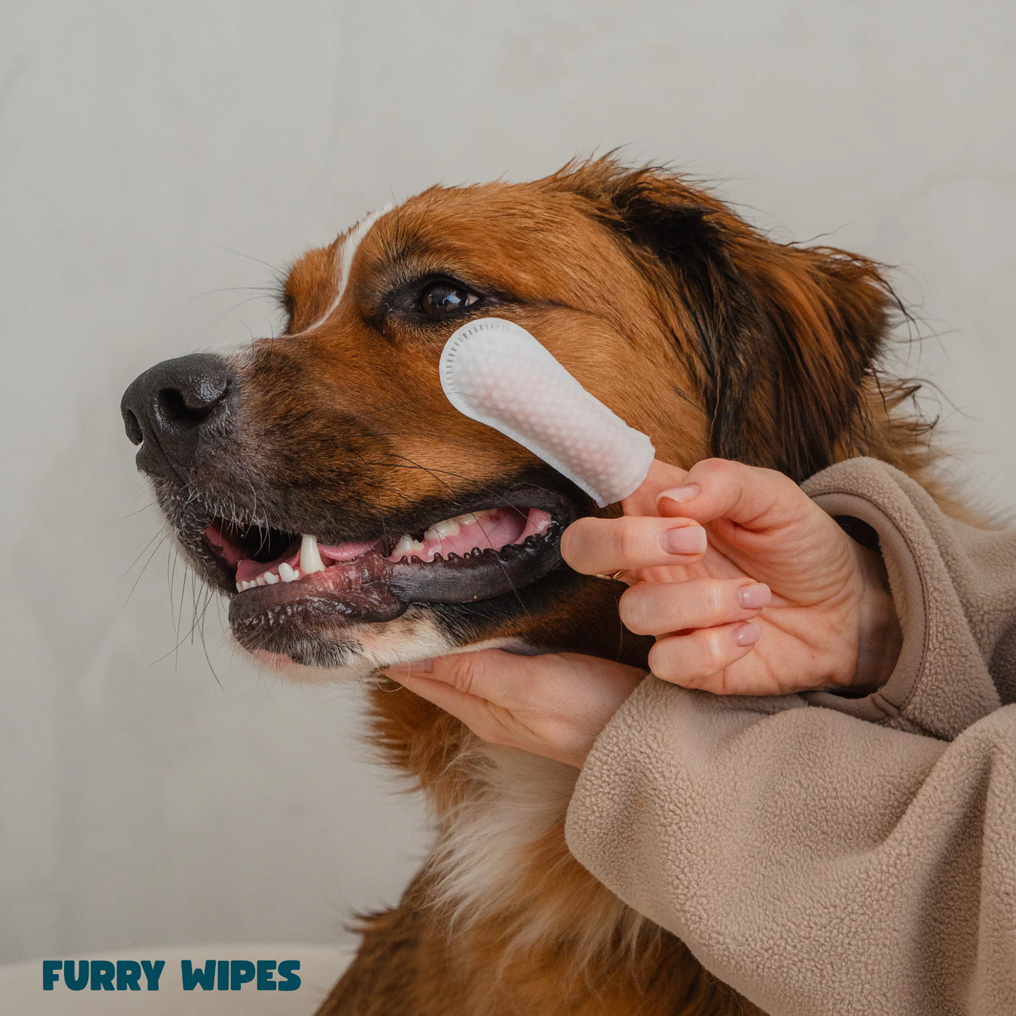 Furry Wipes – Rengjør tennene uten tannbørste
