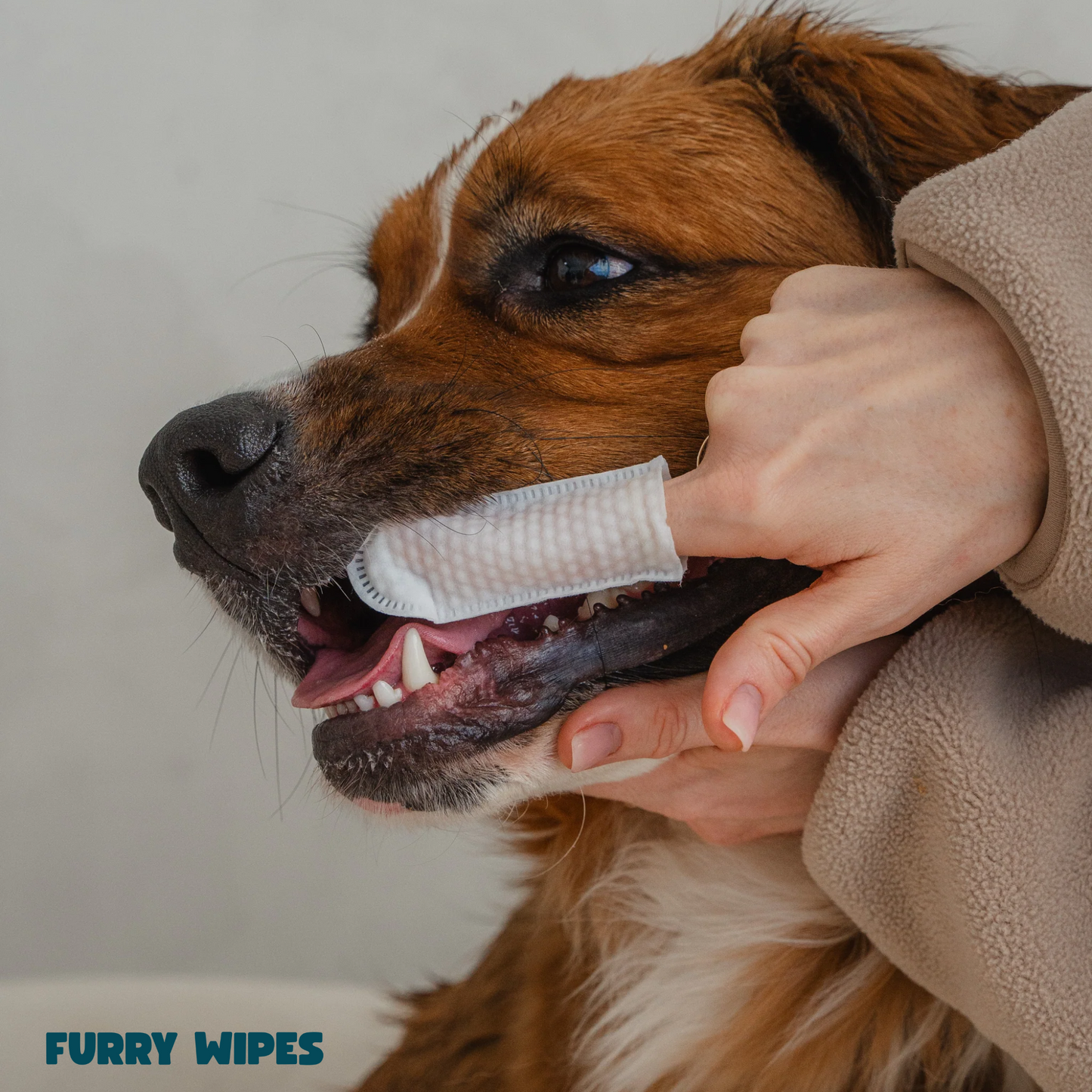 Furry Wipes – Rengjør tennene uten tannbørste