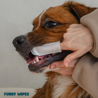 Furry Wipes – Rengjør tennene uten tannbørste